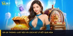 So Do Keo Cuoc The Thao - V9BET Expert